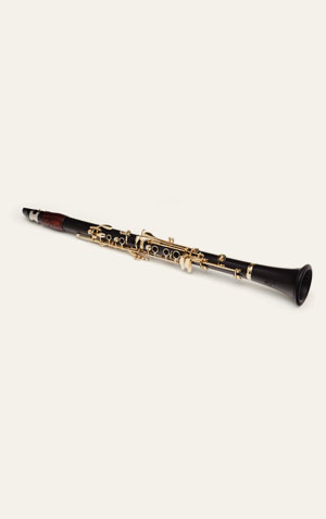 Imagem de um clarinete, instrumento da família das madeiras.