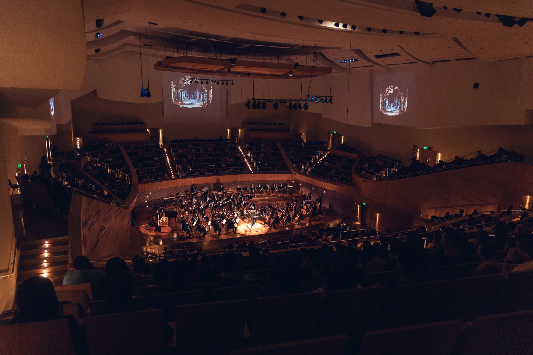 Foto mostrando a sala minas gerais em um concerto didático. A plateia está cheia, as luzes baixas e há projeções nas paredes